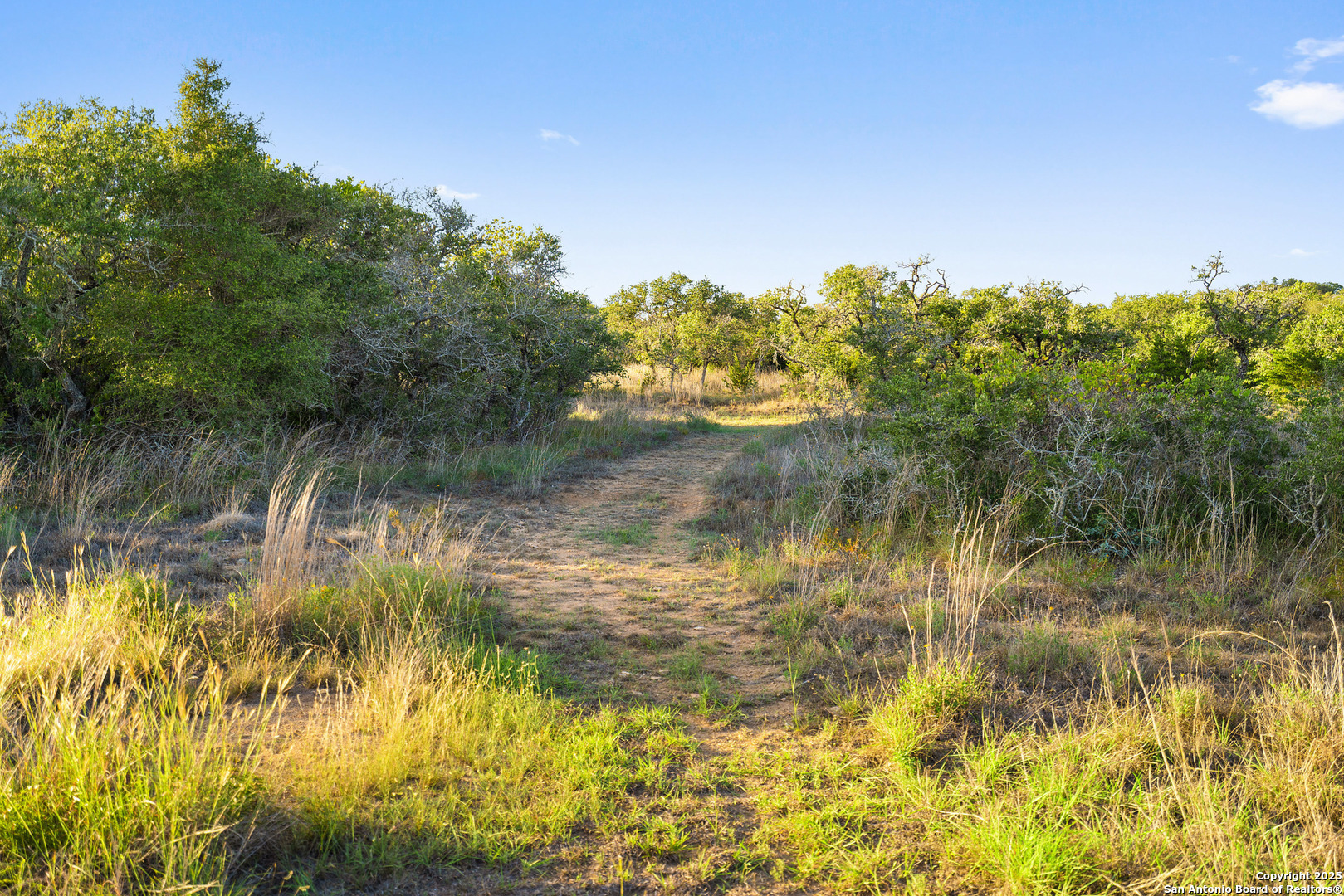 370 Gray Wolf Blanco TX 78606