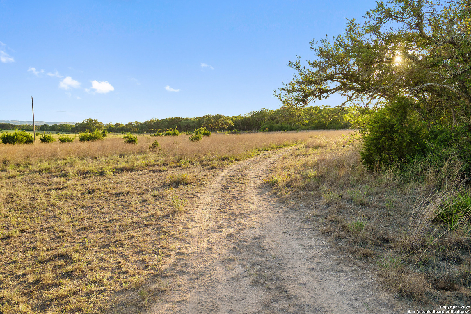 370 Gray Wolf Blanco TX 78606