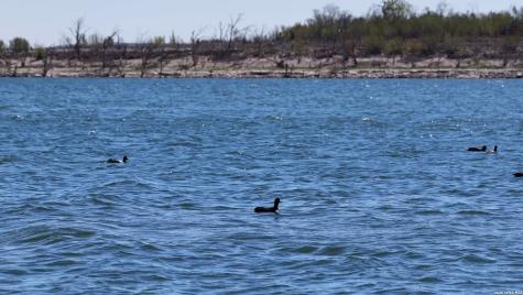 956 Lakebreeze Drive Canyon Lake TX 78133