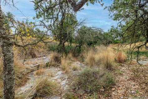 406 Cherry Mountain Loop Fredericksburg TX 78624