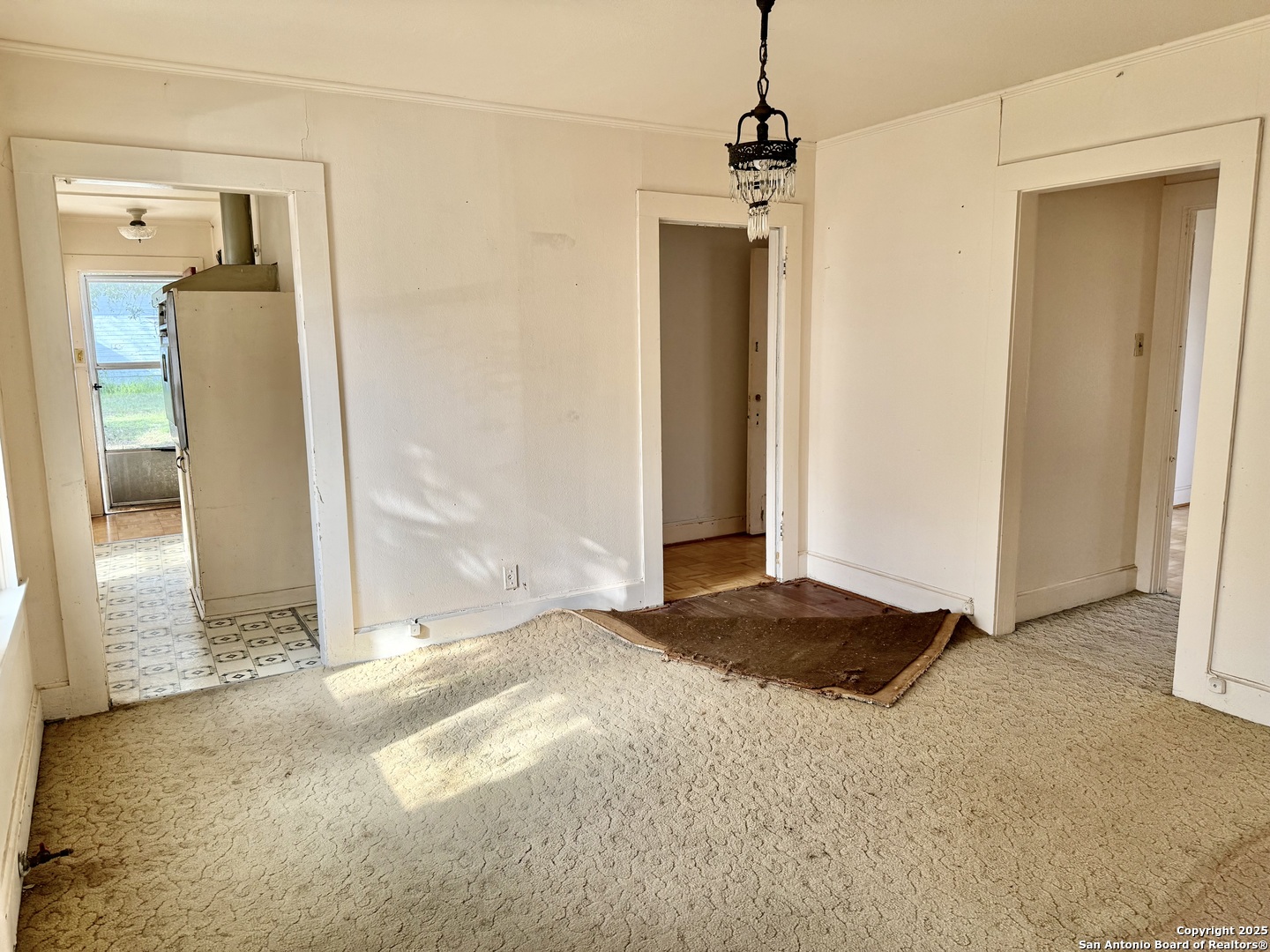 511 Corpus Christi Beeville TX 78102