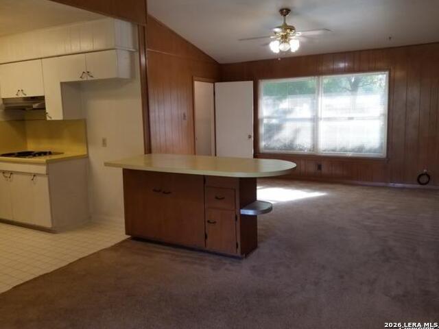 214 Beechwood Avenue Universal City TX 78148