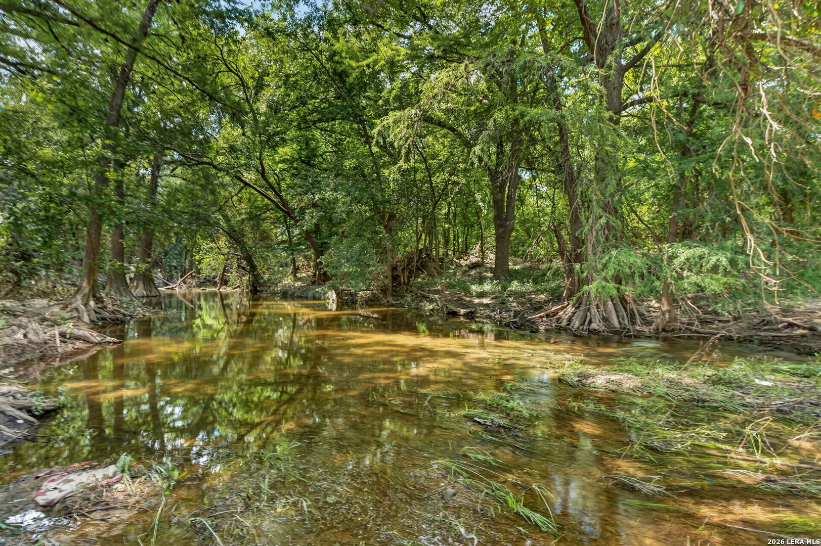 2634 County Road 4713 Lacoste TX 78039