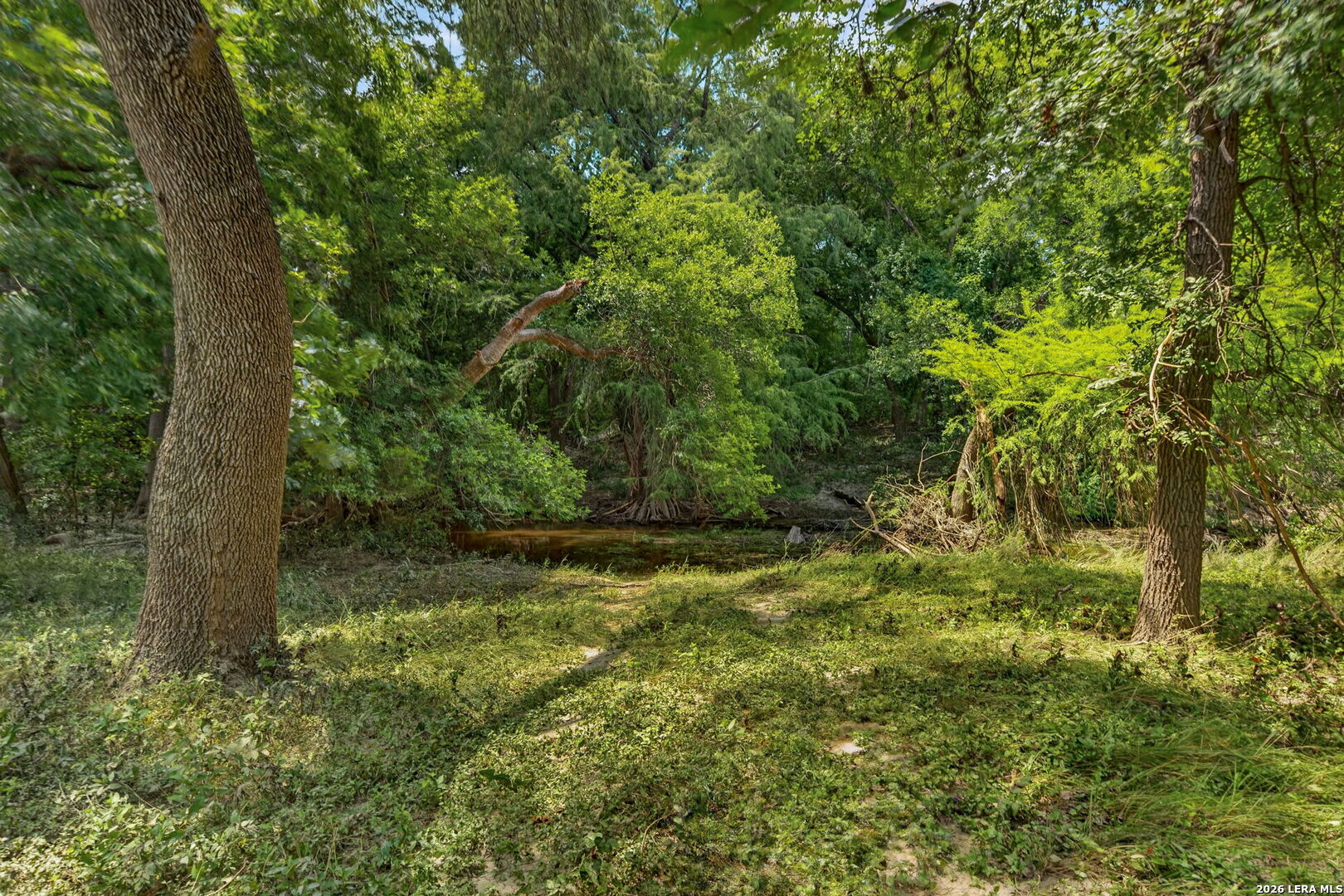 2634 County Road 4713 Lacoste TX 78039