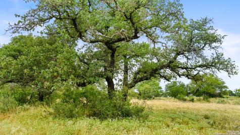 Lot 37 Vista Ridge Round Mountain TX 78663