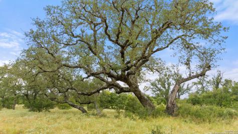 Lot 37 Vista Ridge Round Mountain TX 78663
