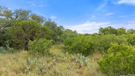 Lot 37 Vista Ridge Round Mountain TX 78663