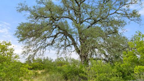 Lot 37 Vista Ridge Round Mountain TX 78663