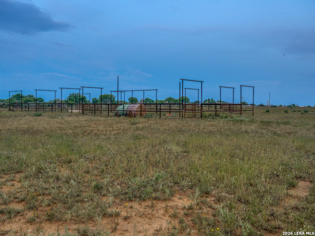 2831 County Road 430 Pleasanton TX 78064