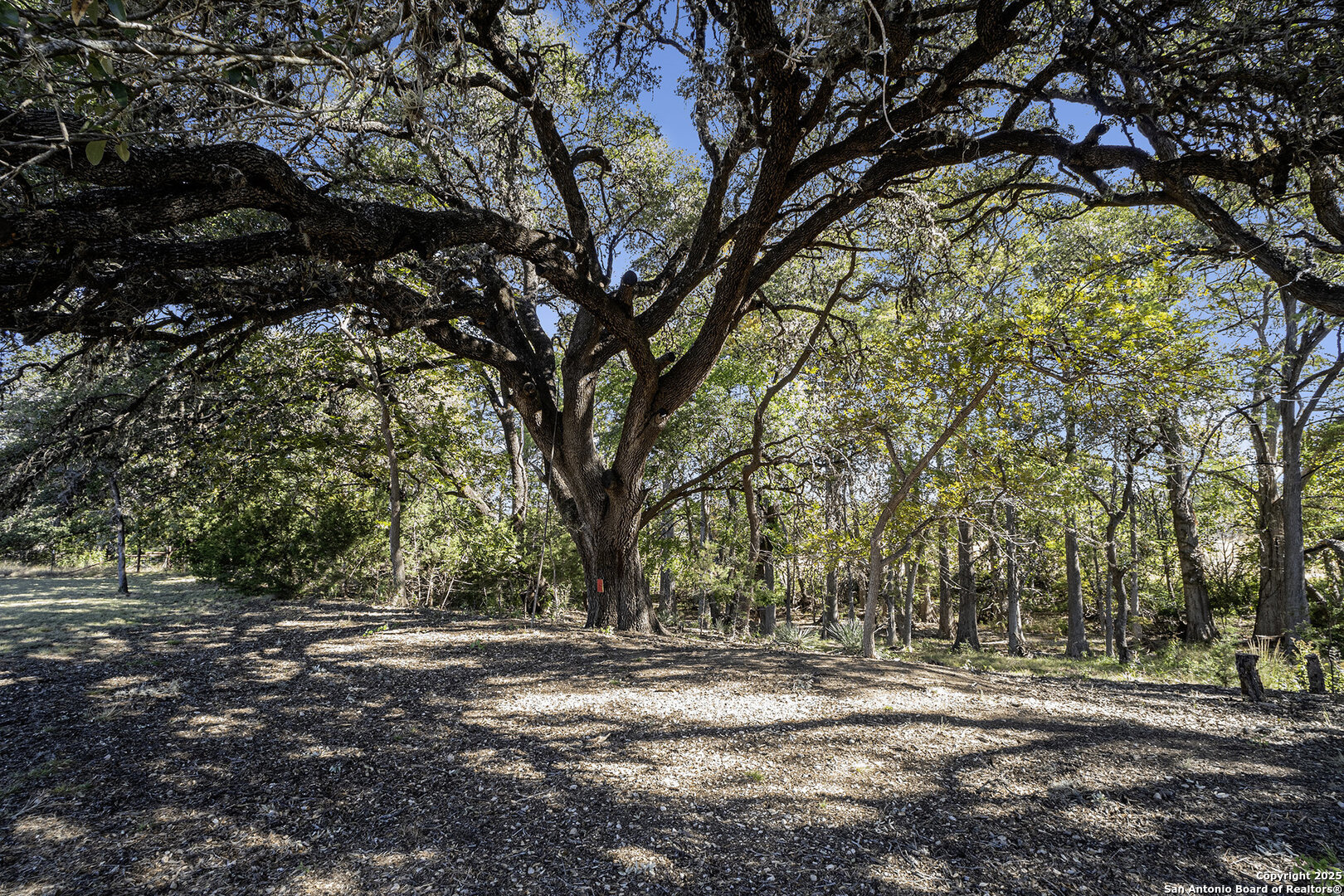 50710 Interstate 10 Comfort TX 78013
