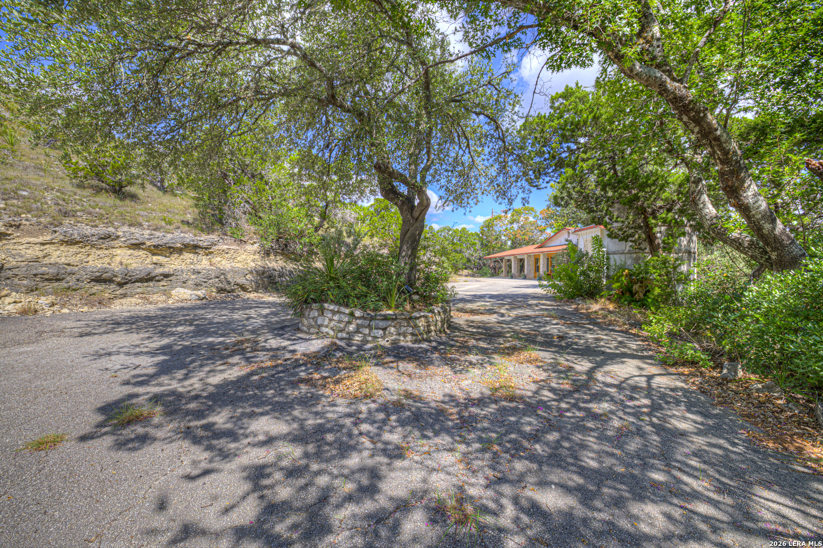 447 Madrona Drive New Braunfels TX 78132