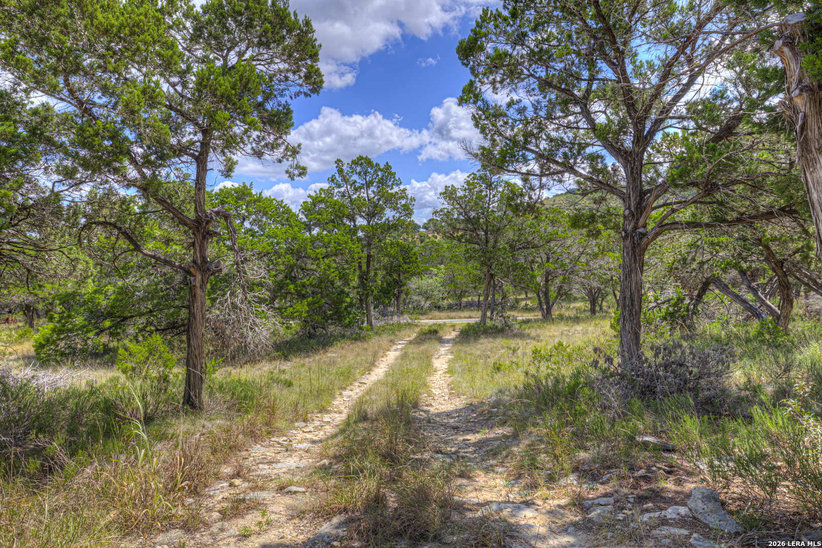 447 Madrona Drive New Braunfels TX 78132