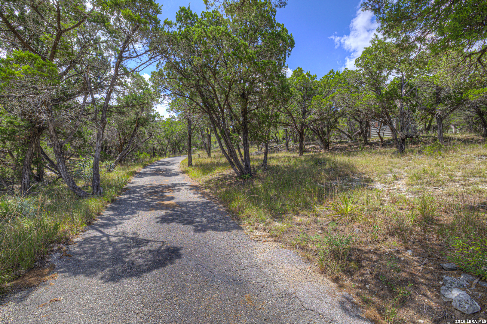 447 Madrona Drive New Braunfels TX 78132