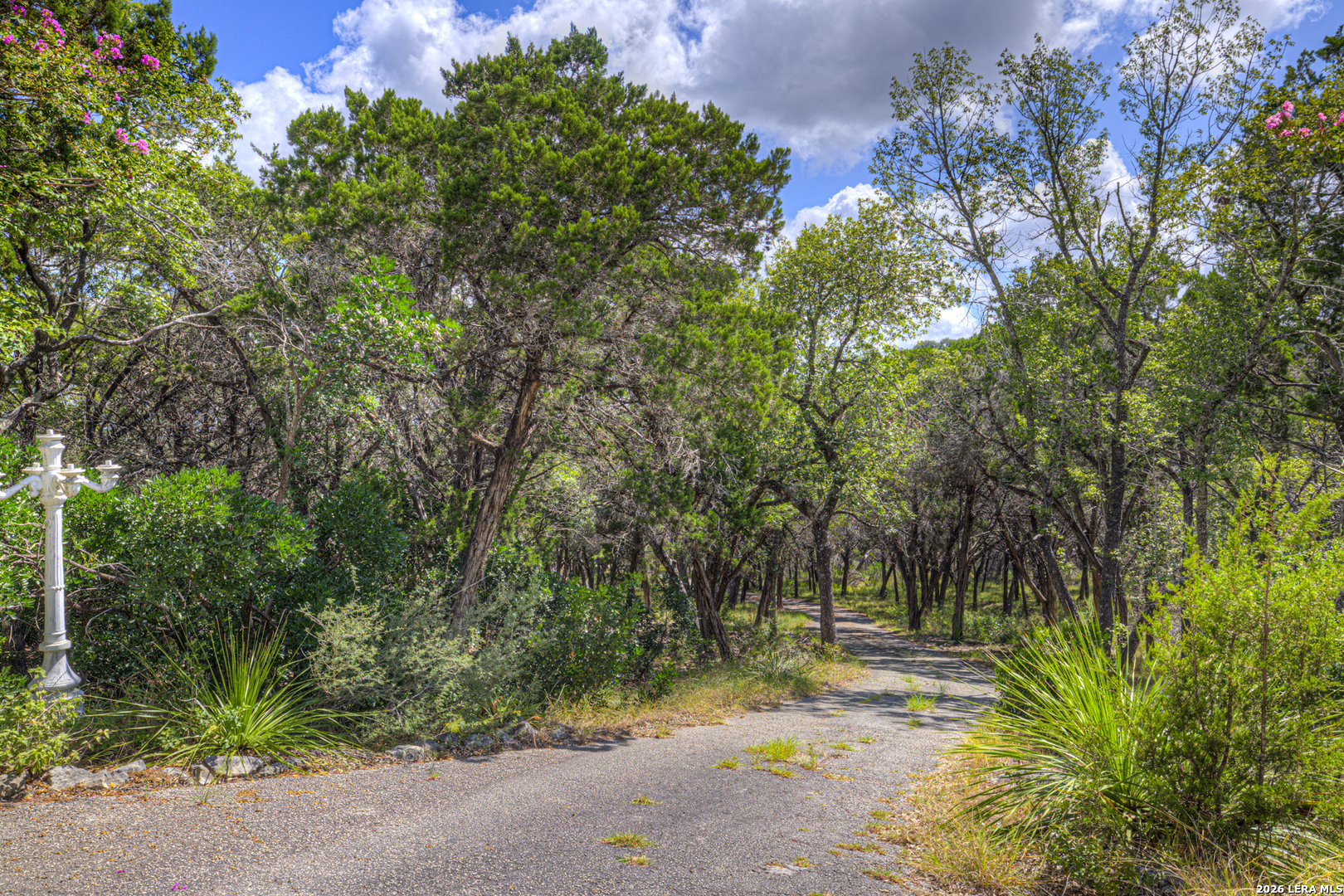 447 Madrona Drive New Braunfels TX 78132