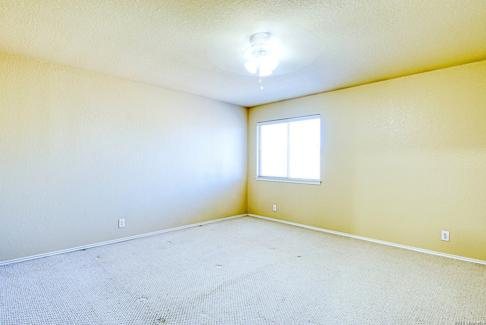 9008 Privilege Point Converse TX 78109