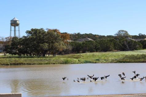 318 Dulce Vista Boerne TX 78006