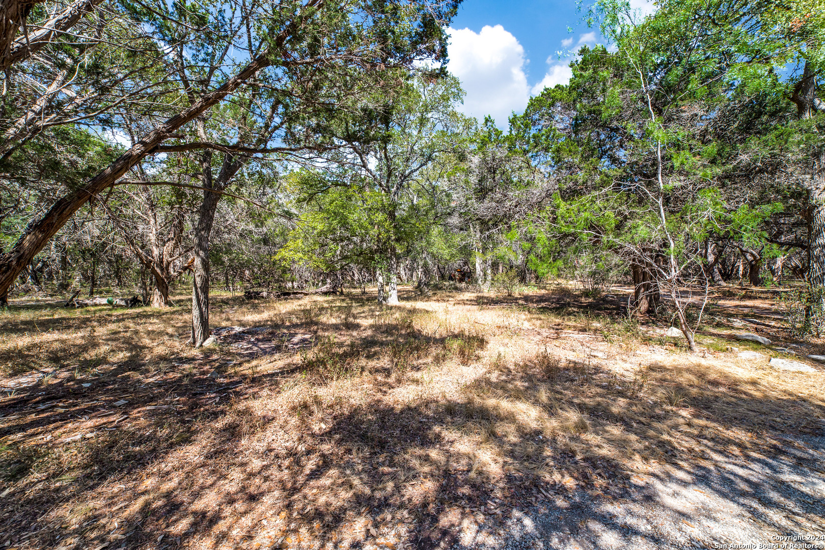 31210 Stahl Bulverde TX 78163