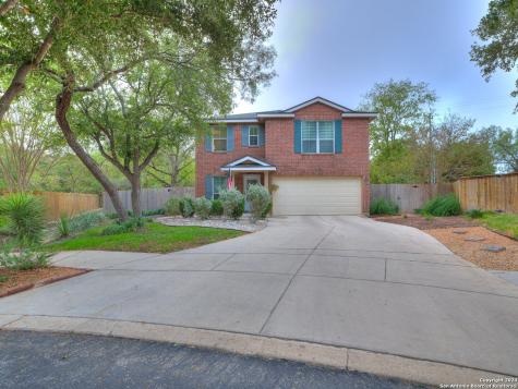 15703 Manes Grove San Antonio TX 78247