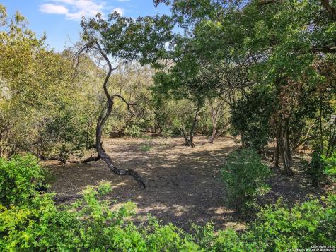 602 Exeter Road San Antonio TX 78209