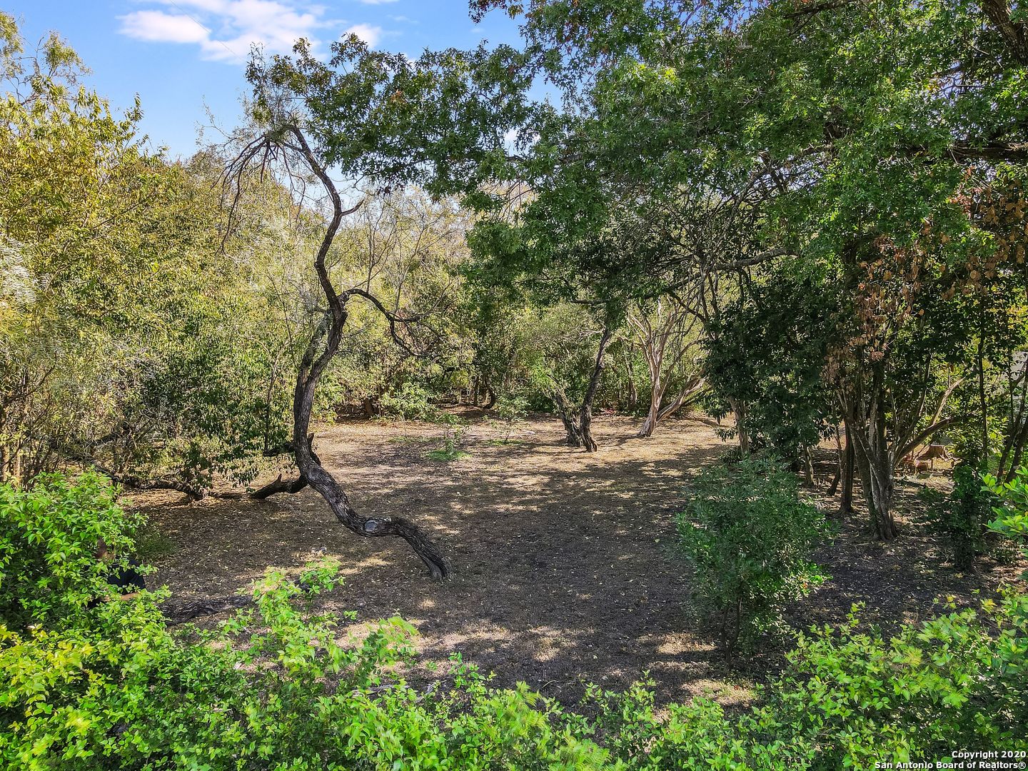 602 Exeter Road San Antonio TX 78209