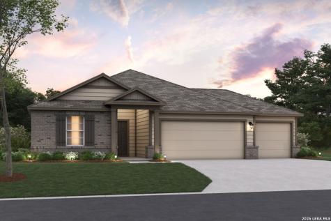 17512 Bigtooth Aspen Drive Elmendorf TX 78112