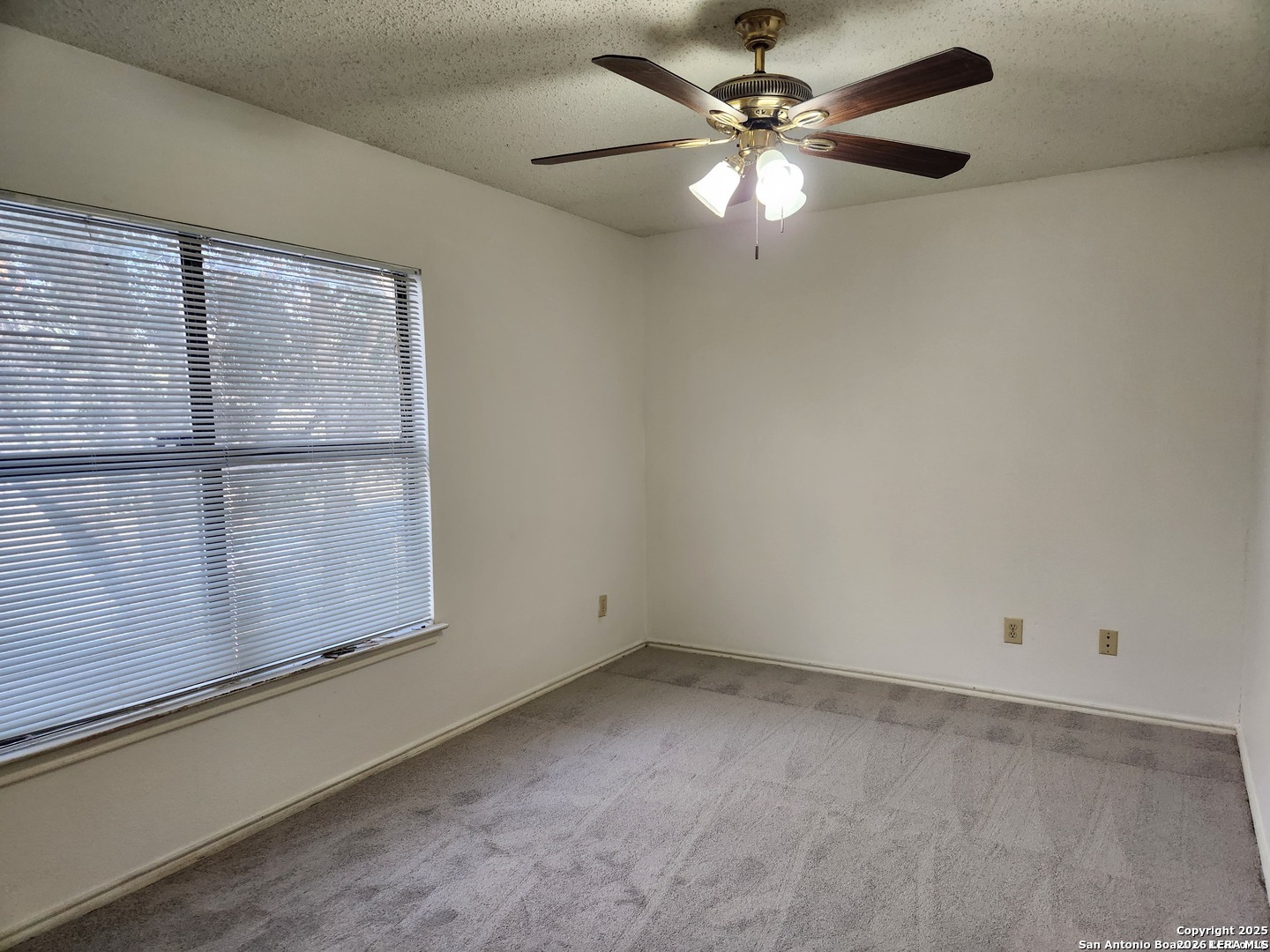2117 Farmsville San Antonio TX 78245