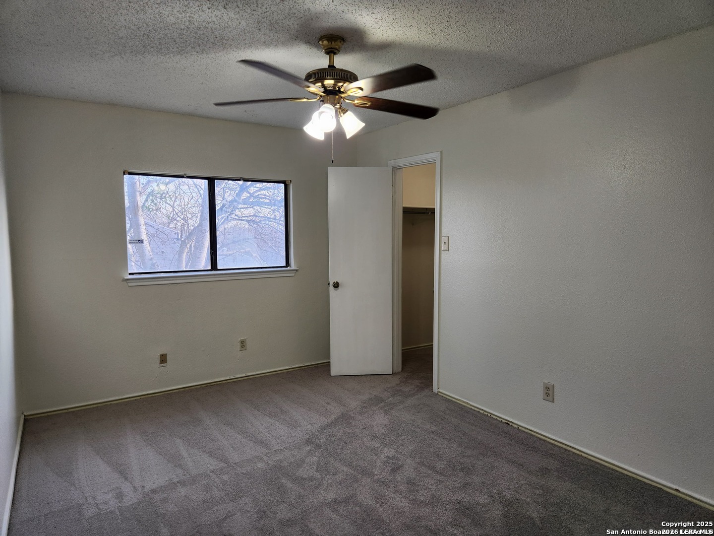 2117 Farmsville San Antonio TX 78245
