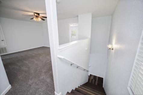 16642 Emerald Bluff Selma TX 78154