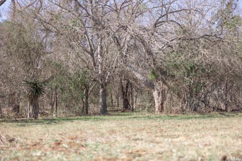 3190 Pittman Road St.hedwig TX 78152