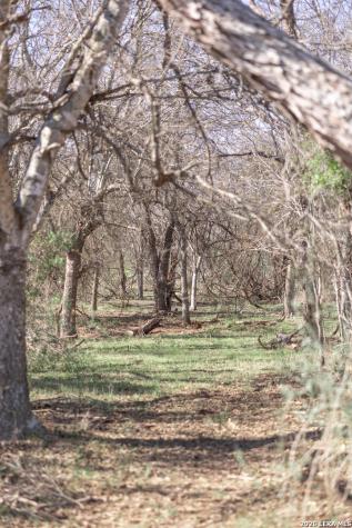 3190 Pittman Road St.hedwig TX 78152