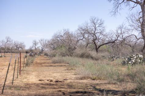 3190 Pittman Road St.hedwig TX 78152