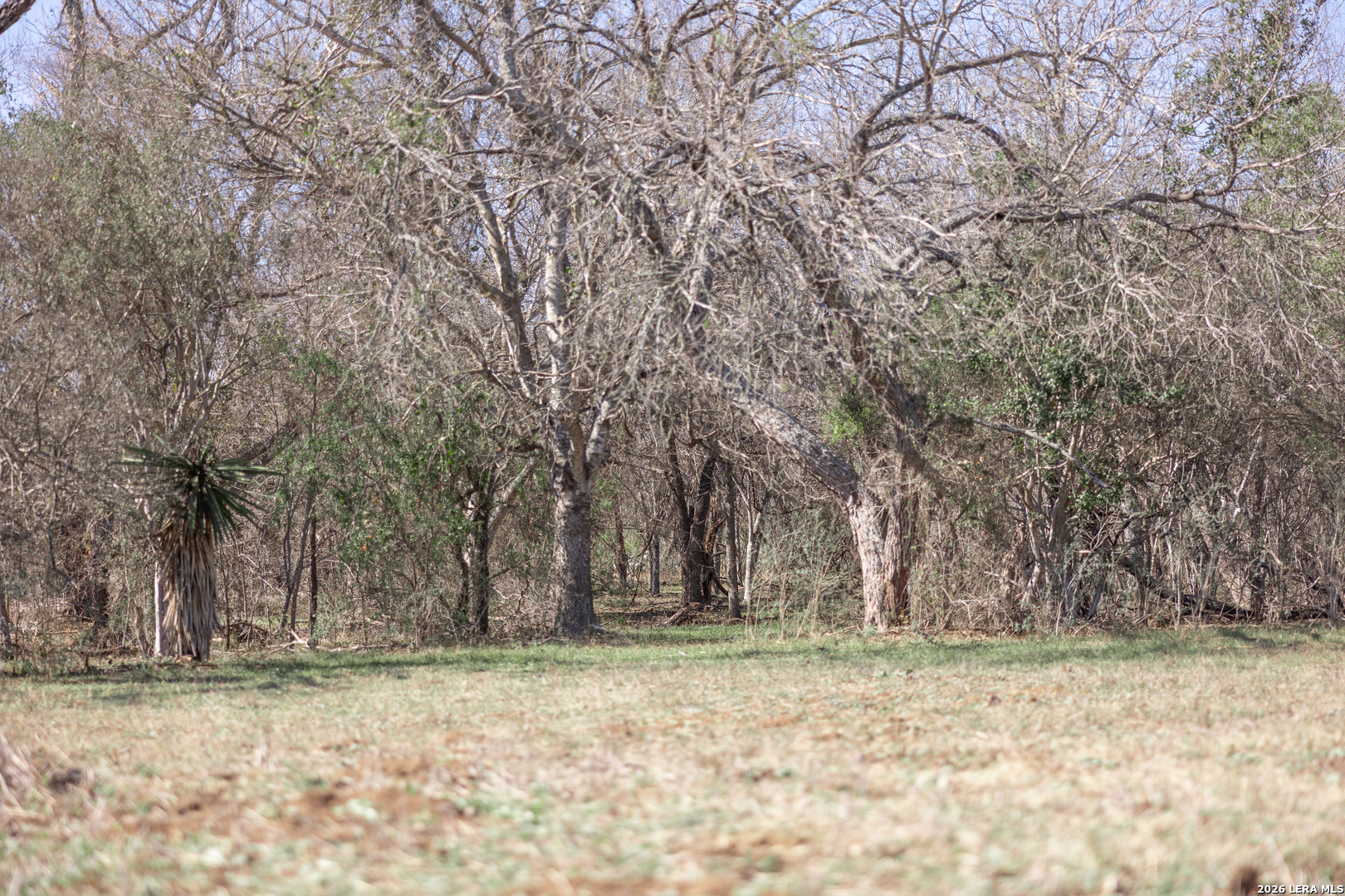 3190 Pittman Road St.hedwig TX 78152