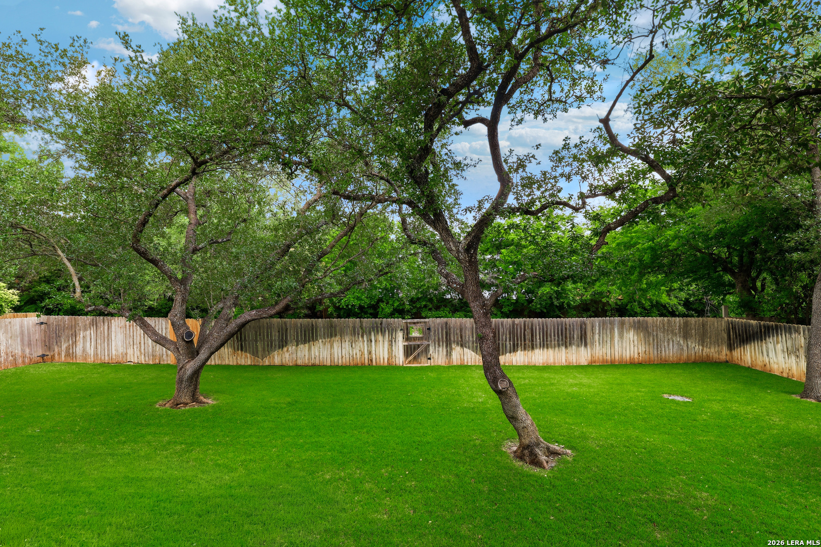 15662 Dove Meadow San Antonio TX 78248