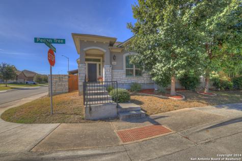 2244 Pecan Tree New Braunfels TX 78130