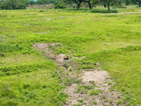 1051 N Cattlemans Crossing Drive Kerrville TX 78028