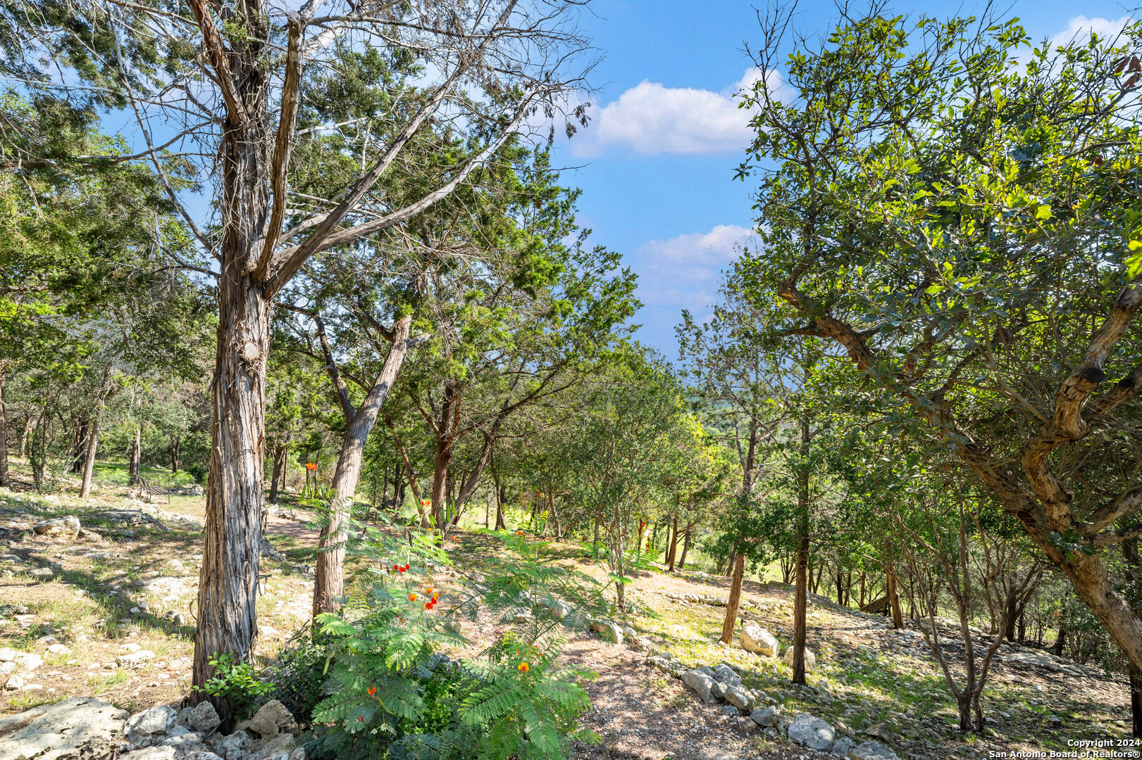 206 Hoskins Trail Boerne TX 78006