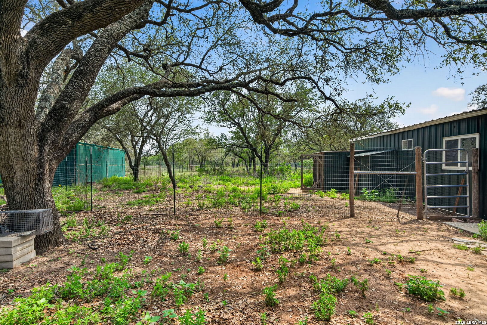 1050 Hickory San Antonio TX 78264