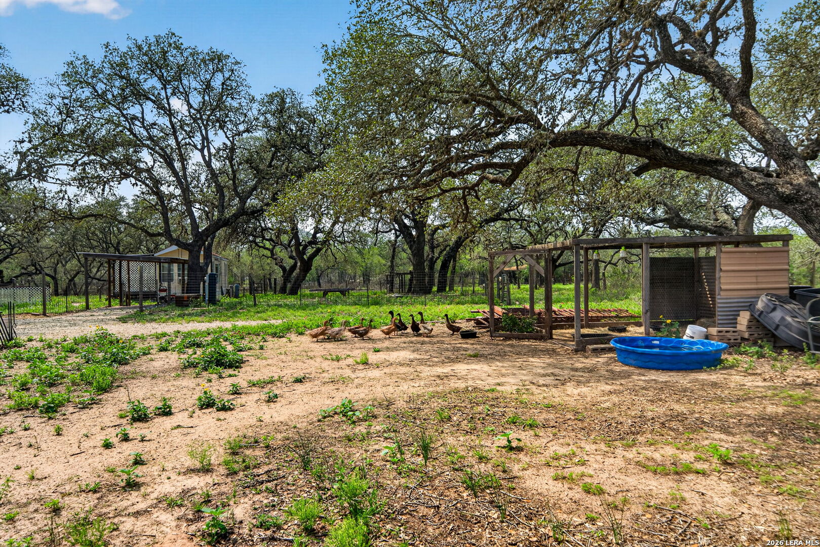1050 Hickory San Antonio TX 78264