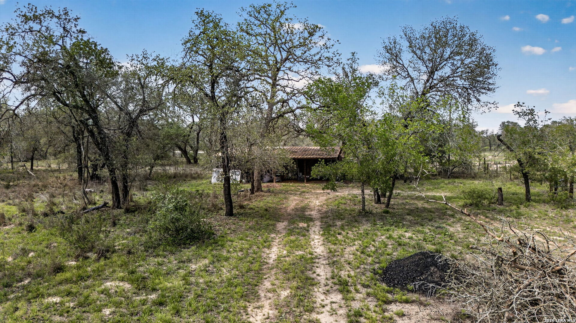 1050 Hickory San Antonio TX 78264