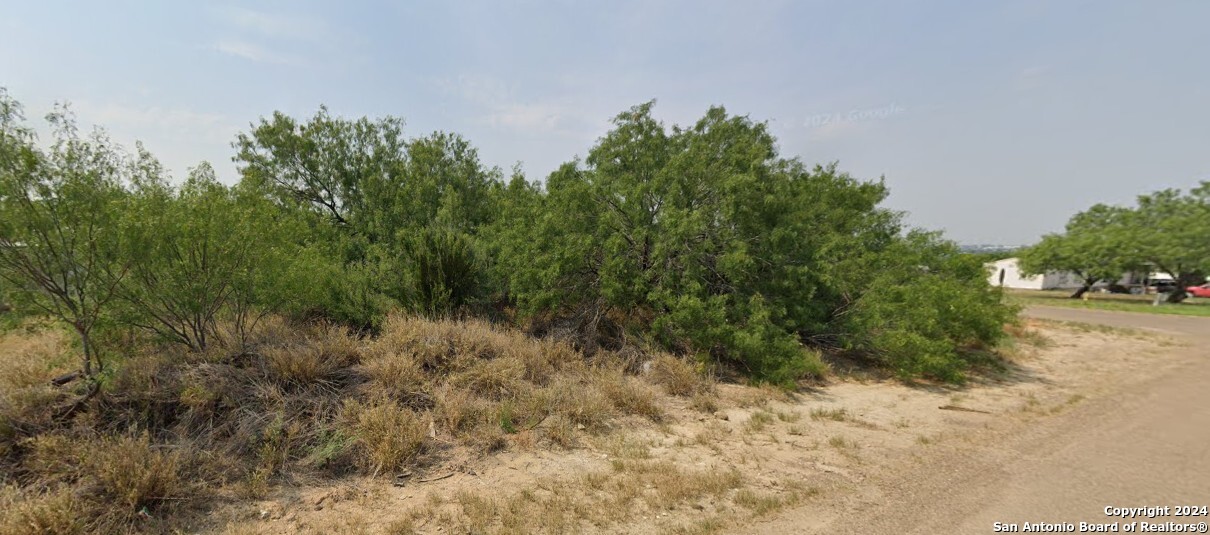 211 Hawk Street Zapata TX 78076