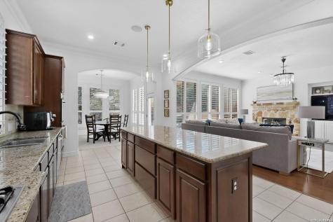 21702 Eden Rose Hill San Antonio TX 78256
