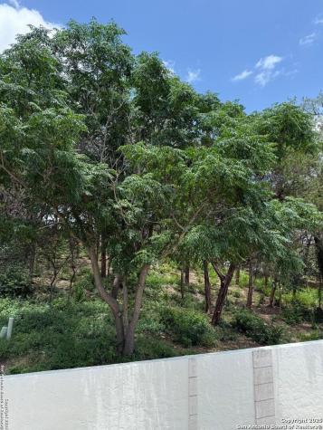 3 Benchwood Circle San Antonio TX 78248