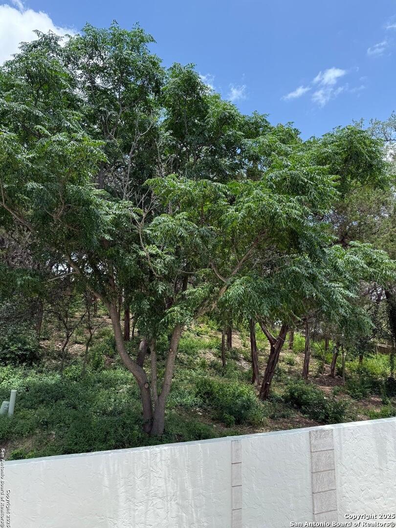 3 Benchwood Circle San Antonio TX 78248