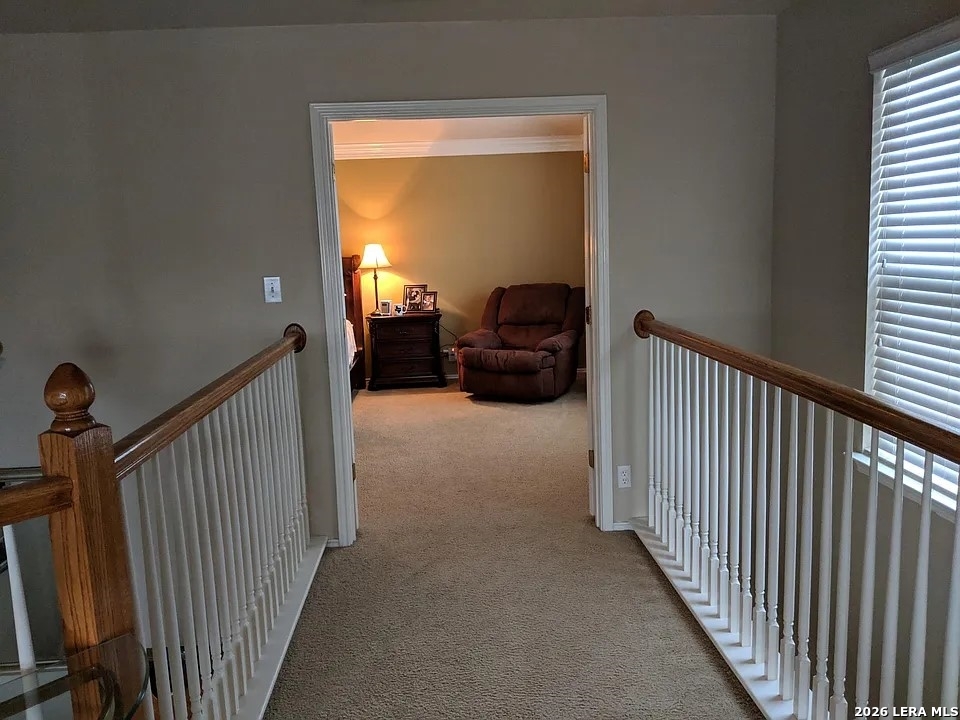 10519 Cougar Chase San Antonio TX 78251