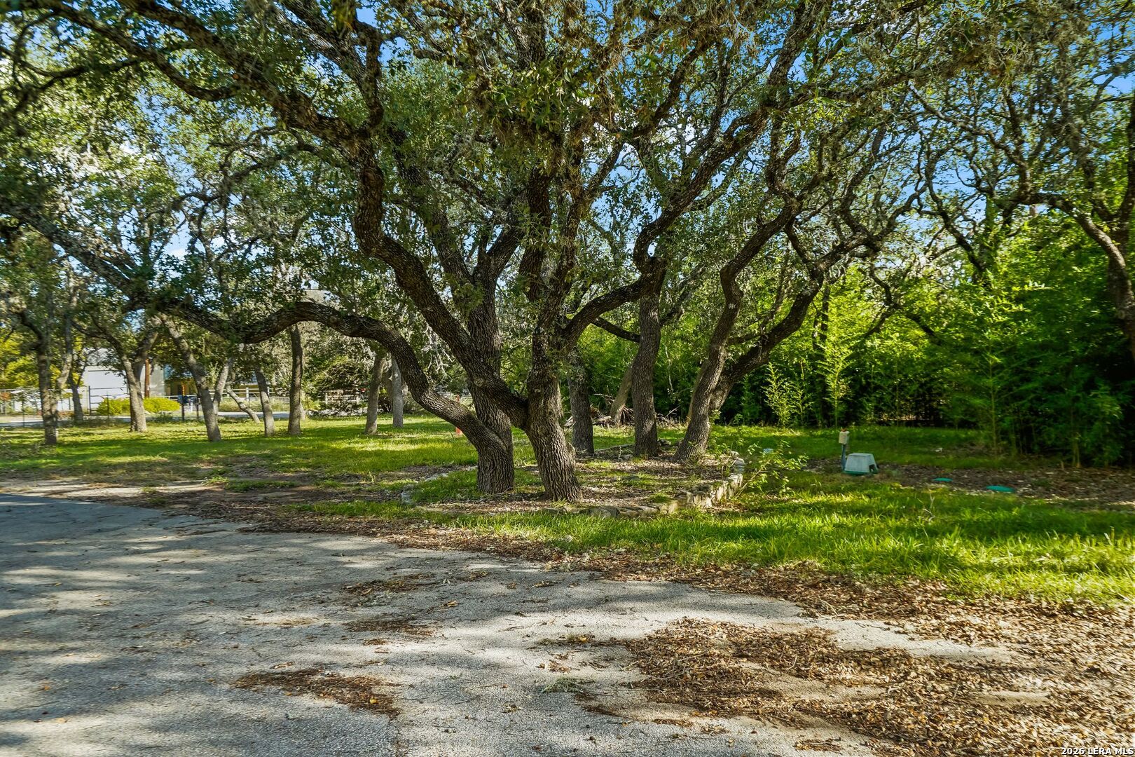 31617 Blanco Bulverde TX 78163