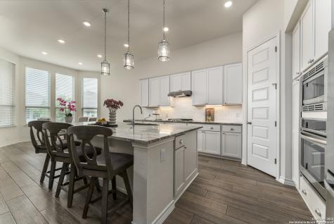 1520 Anhalt Ranch New Braunfels TX 78132