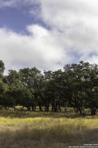Lot 1 Legacy Hills Johnson City TX 78636