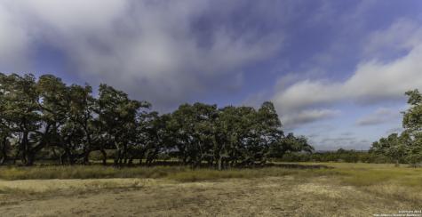Lot 1 Legacy Hills Johnson City TX 78636
