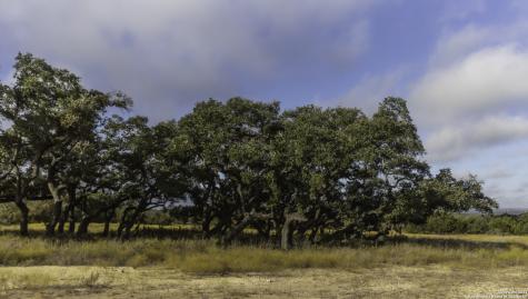 Lot 1 Legacy Hills Johnson City TX 78636