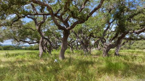 Lot 1 Legacy Hills Johnson City TX 78636